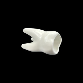 1 Cái Sáng Tạo Dễ Thương Hình Răng Gốm Bút Cho Nha Khoa Phòng Khám Để Bàn Lưu Trữ Bút Vui Vẻ Văn Phòng Phẩm Hộp Nha Sĩ Quà Tặng