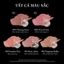 Flower Knows Little Angel Collection Cream Blush 6g 5 màu Trang điểm mặt