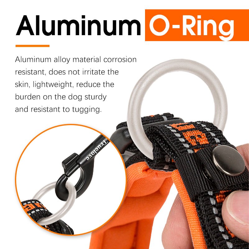 TRUELOVE Vòng cổ huấn luyện chó cưng Vòng cổ Nylon Martingale Vòng cổ có thể điều chỉnh để huấn luyện