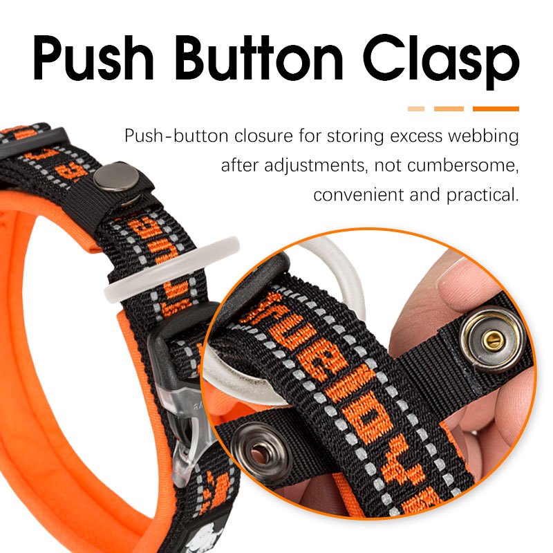 TRUELOVE Vòng cổ chó Nylon phản quang Vòng cổ thú cưng An toàn có thể điều chỉnh cho chó nhỏ vừa lớn