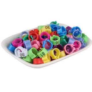 50 Chiếc Chim Bồ Câu Lớn Kẹp Vòng 10 Mm / 12 Mm Chim Kẹp Vòng Vẹt Chân Vòng Chim Bay Đánh Dấu Dụng Cụ