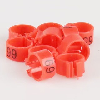 50 Chiếc Chim Bồ Câu Lớn Kẹp Vòng 10 Mm / 12 Mm Chim Kẹp Vòng Vẹt Chân Vòng Chim Bay Đánh Dấu Dụng Cụ