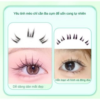 Sách Lông mi giả thuật sĩ tai mèo 32 hàng Dung lượng lớn tự ghép cho người mới tập tự nhiên