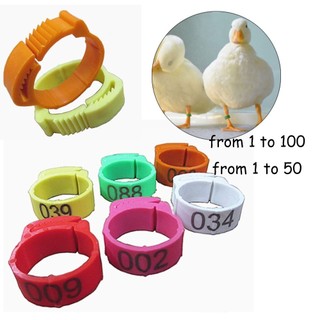 100 / 50 Chiếc Có Thể Điều Chỉnh Chân Gà Vòng Chân Gia Cầm Đường Kính Trong 2 Mm Đến 2.4cm Vòng Chân Có Thể Thu Vào 6 Màu
