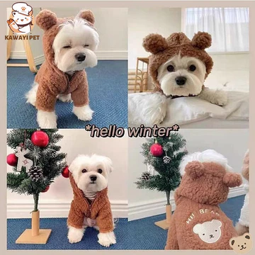 Quần Áo Thú Cưng Chó Nhỏ Chó Mèo Teddy Lông Cừu Quần Áo Cho Chó Mùa Thu Đông Ấm Áo Gấu Tai Biến Đổi Quần Áo