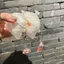 Trong suốt Túi cá vàng trong suốt Hộp đựng tai nghe AirPods4 Vỏ bảo vệ tai nghe trong suốt Phong cách mới cho AirPodsPro2 Vỏ bảo vệ tai nghe Tương thích với vỏ AirPodsPro Vỏ AirPods2gen