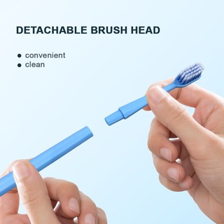 Hộp Bàn Chải Đánh Răng Di Động Có Thể Tháo Rời Gấp Xoắn Ốc Lông Mềm Bàn Chải Đánh Răng Bạc Hà Kem Đánh Răng Chỉnh Nha Làm Sạch Răng Bộ Du Lịch
