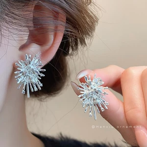 Bộ kim bạc kim cương phóng đại bông tai pháo hoa thiết kế thích hợp bông tai thời trang cá tính thời trang cao cấp bông tai nữ