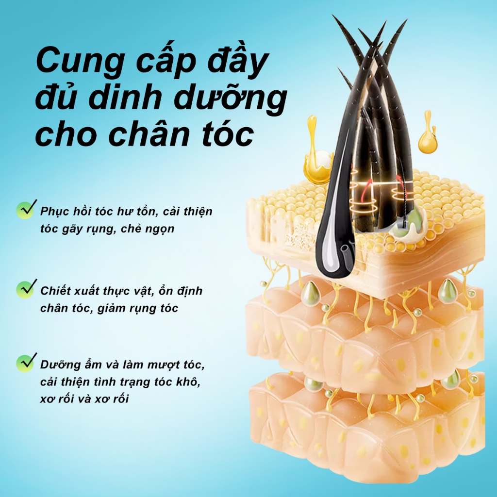 Ảnh Rtopr 2 Cái Thảo Dược Tóc Tăng Trưởng Chống Rụng Tóc Chất Lỏng Thúc Đẩy Dày Nhanh Tóc Điều Trị Tăng Trưởng Tinh Dầu 4