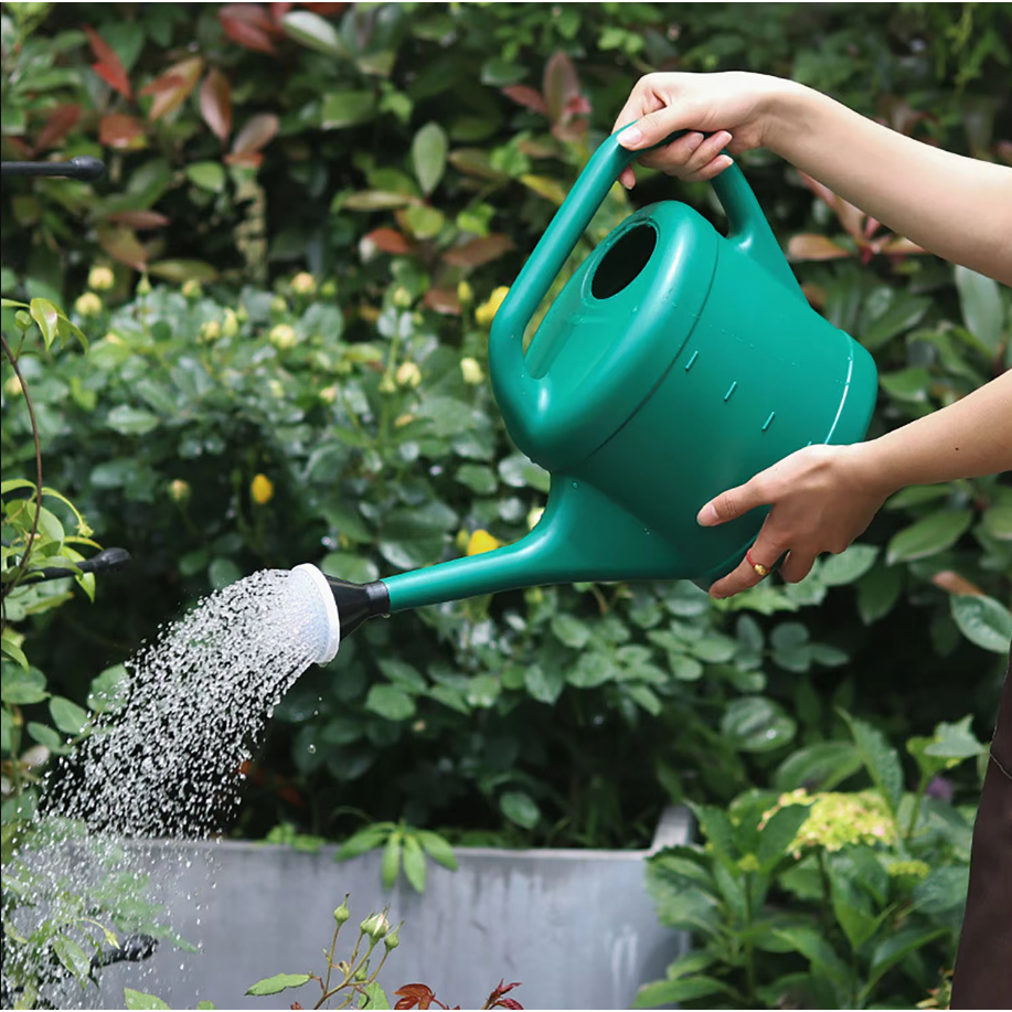Bình tưới nước Miulika Tay cầm thoải mái Vòi phun dài Dụng cụ làm vườn dày nhẹ