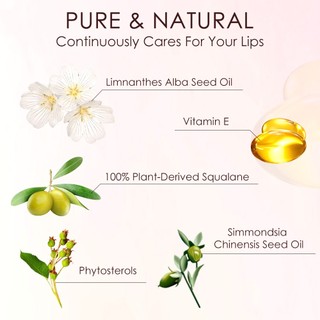 Catkin Son Môi Khắc Rouge Chống Thấm Nước Son Bóng Lâu Dài Chống Dính Cốc Son Stain Cao Sắc Tố Son Bóng