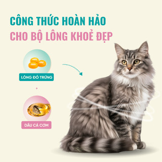 Hạt Bite Of Wild K42 Cho Mèo Con gói 1KG Thức Ăn Cho Mèo Không Chứa Ngũ Cốc Công Thức Sữa Dê