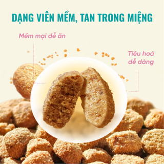 Hạt Bite Of Wild K42 Cho Mèo Con gói 1KG Thức Ăn Cho Mèo Không Chứa Ngũ Cốc Công Thức Sữa Dê
