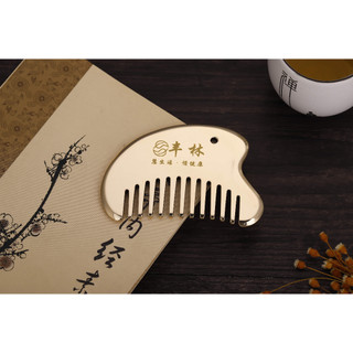 Dụng cụ cạo đồng Đầu bàn chải kinh tuyến Đầu cọ Massage Lược cạo lược mặt dây chuyền
