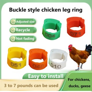20 / 50 Chiếc Có Thể Điều Chỉnh Thương Hiệu Gà Chân Nhẫn Gia Cầm Chân Vòng Đường Kính Trong 2 Mm Đến 2.4cm Vòng Chân Có Thể Thu Vào 6 Màu