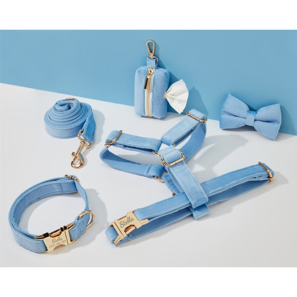 Bộ dây nịt và dây xích cho chó nhung SkyBlue, Cá nhân hóa bước trong dây nịt + cổ áo + nơ + giá đỡ túi Poo, Gói dây nịt đám cưới không kéo