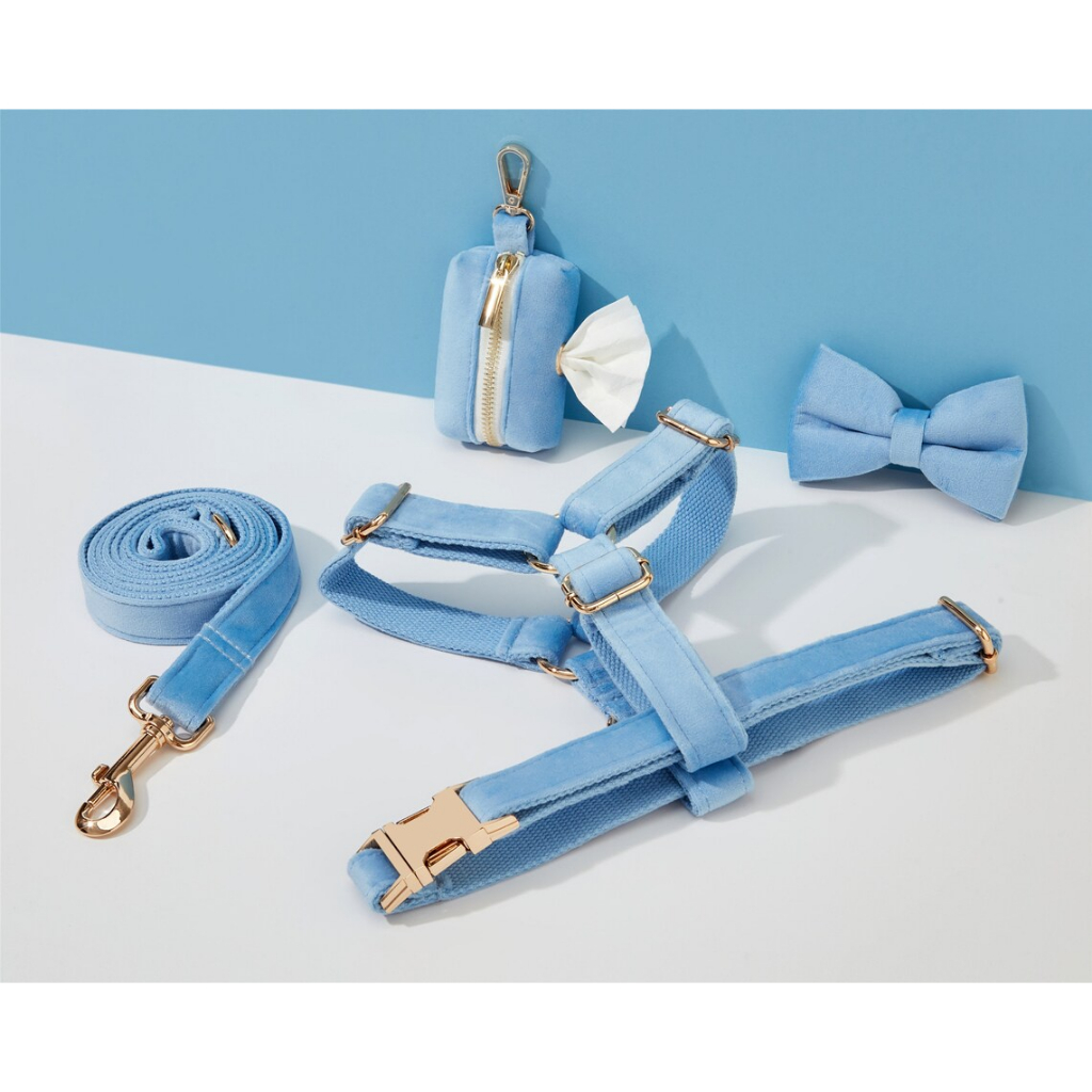 Bộ dây nịt và dây xích cho chó nhung SkyBlue, Cá nhân hóa bước trong dây nịt + cổ áo + nơ + giá đỡ túi Poo, Gói dây nịt đám cưới không kéo