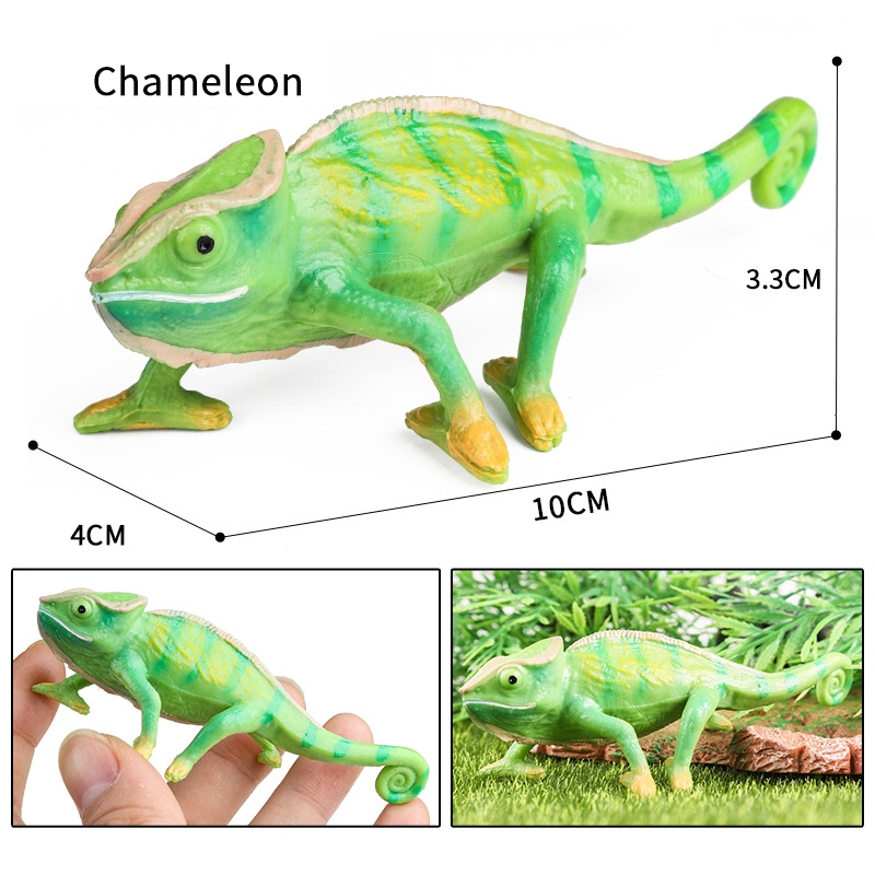 Trẻ em nhận thức khoa học và giáo dục mô phỏng động vật côn trùng mô hình đồ chơi sa mạc rắn thằn lằn tắc kè hoa hỗ trợ giảng dạy trang trí