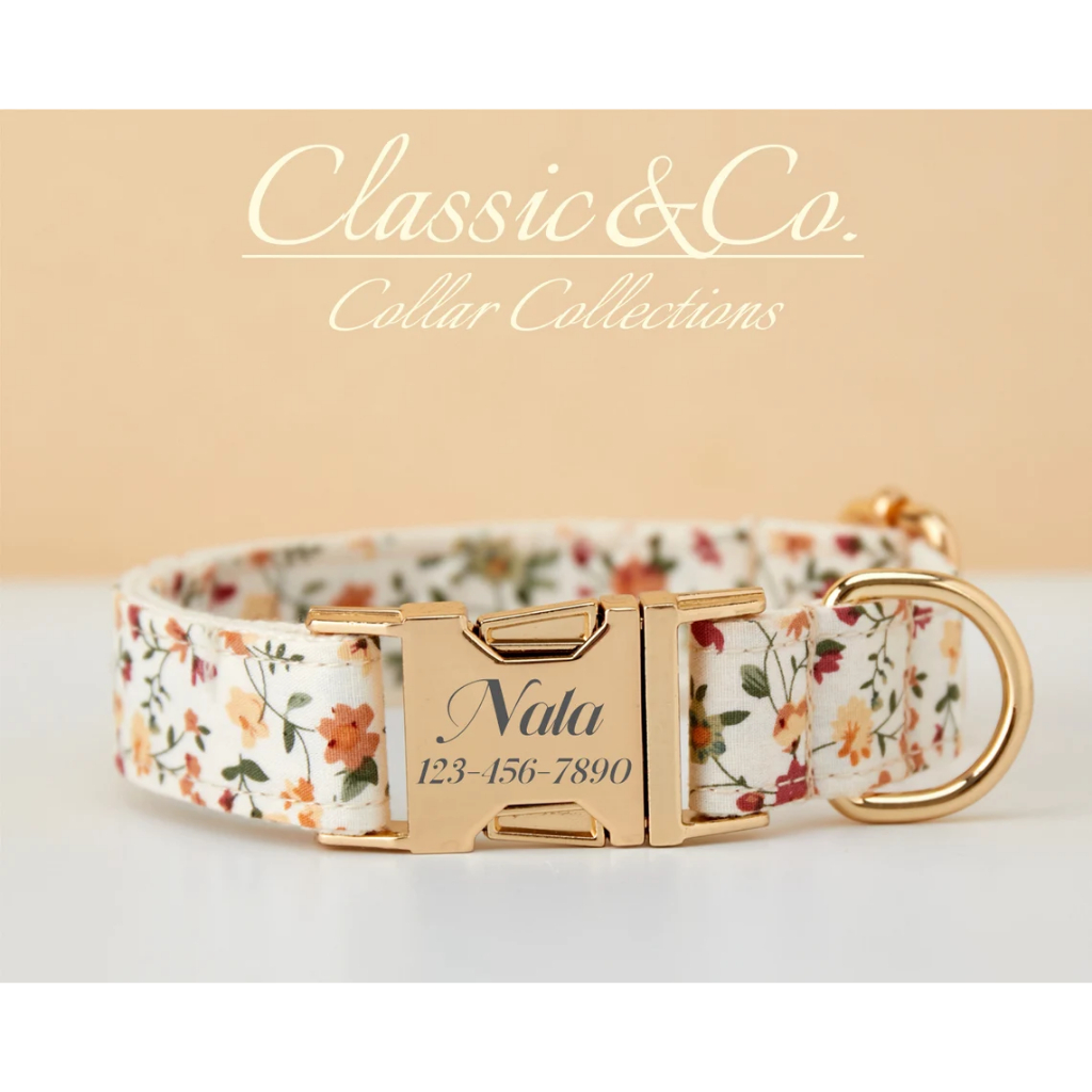 Vòng cổ chó tùy chỉnh có tên, Vòng cổ chó hoa, Vòng cổ chó con khắc, Thẻ chó có khắc tên, Bộ cổ chó và dây xích