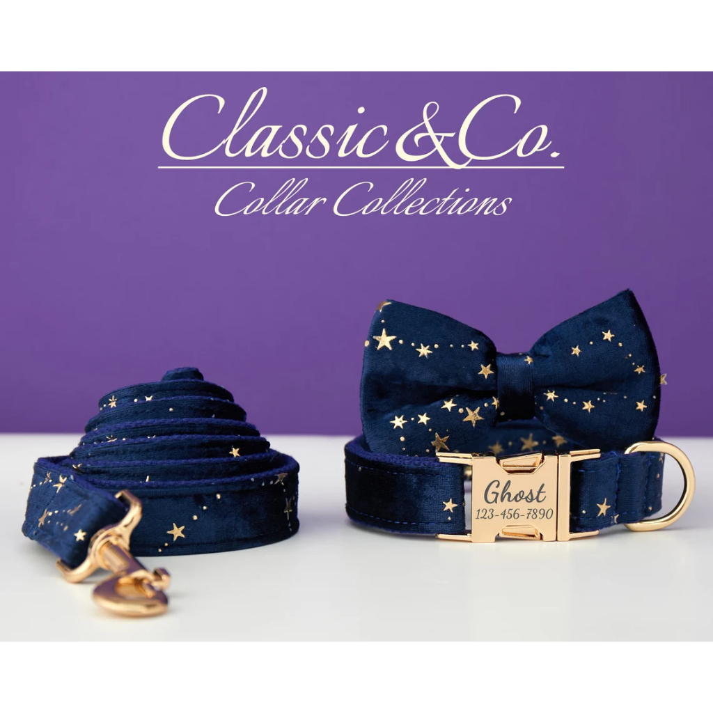 Starry Stars Cá Tính Cổ Chó Thắt Nơ Dây Xích Bộ, Tùy Chỉnh Khắc Tên Thú Cưng Khóa Kim Loại, Quà Tặng Sinh Nhật Cho Chó Con, Miễn Phí Vận Chuyển