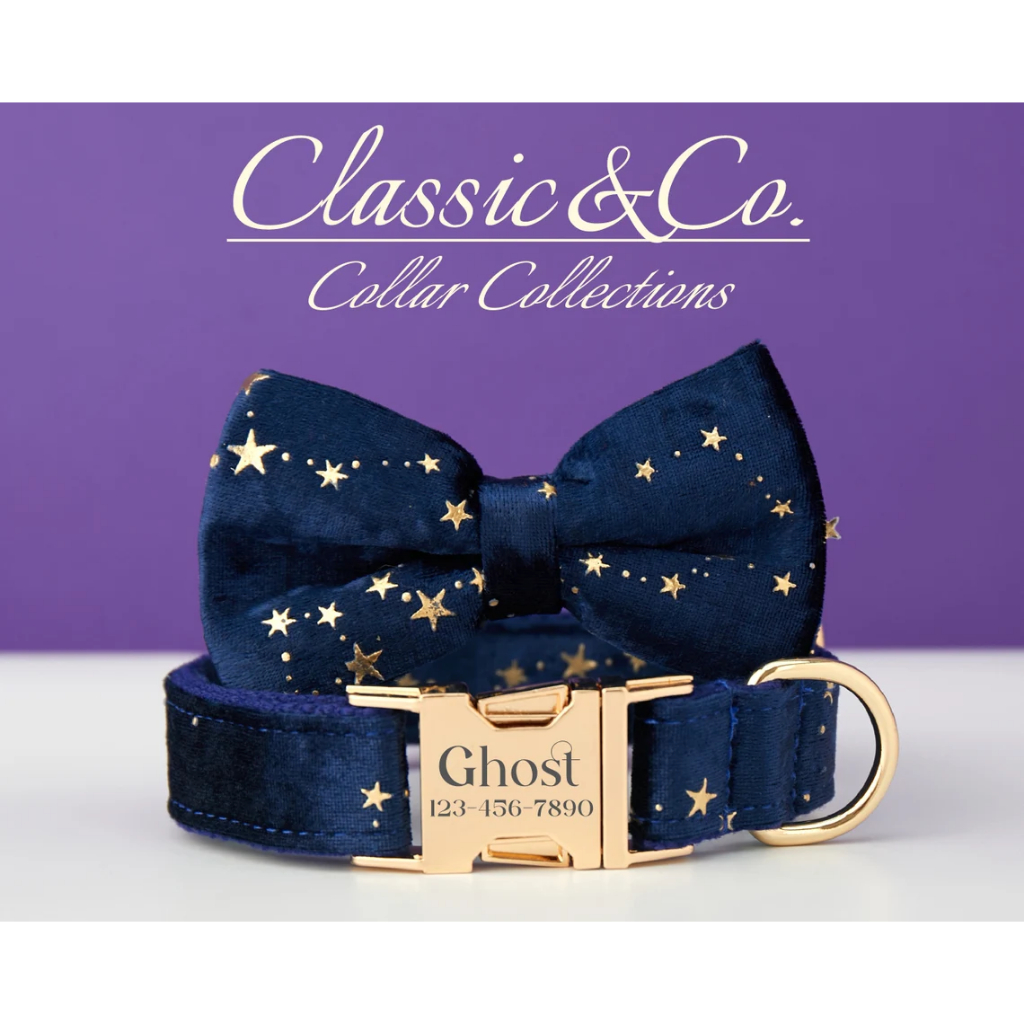 Starry Stars Cá Tính Cổ Chó Thắt Nơ Dây Xích Bộ, Tùy Chỉnh Khắc Tên Thú Cưng Khóa Kim Loại, Quà Tặng Sinh Nhật Cho Chó Con, Miễn Phí Vận Chuyển