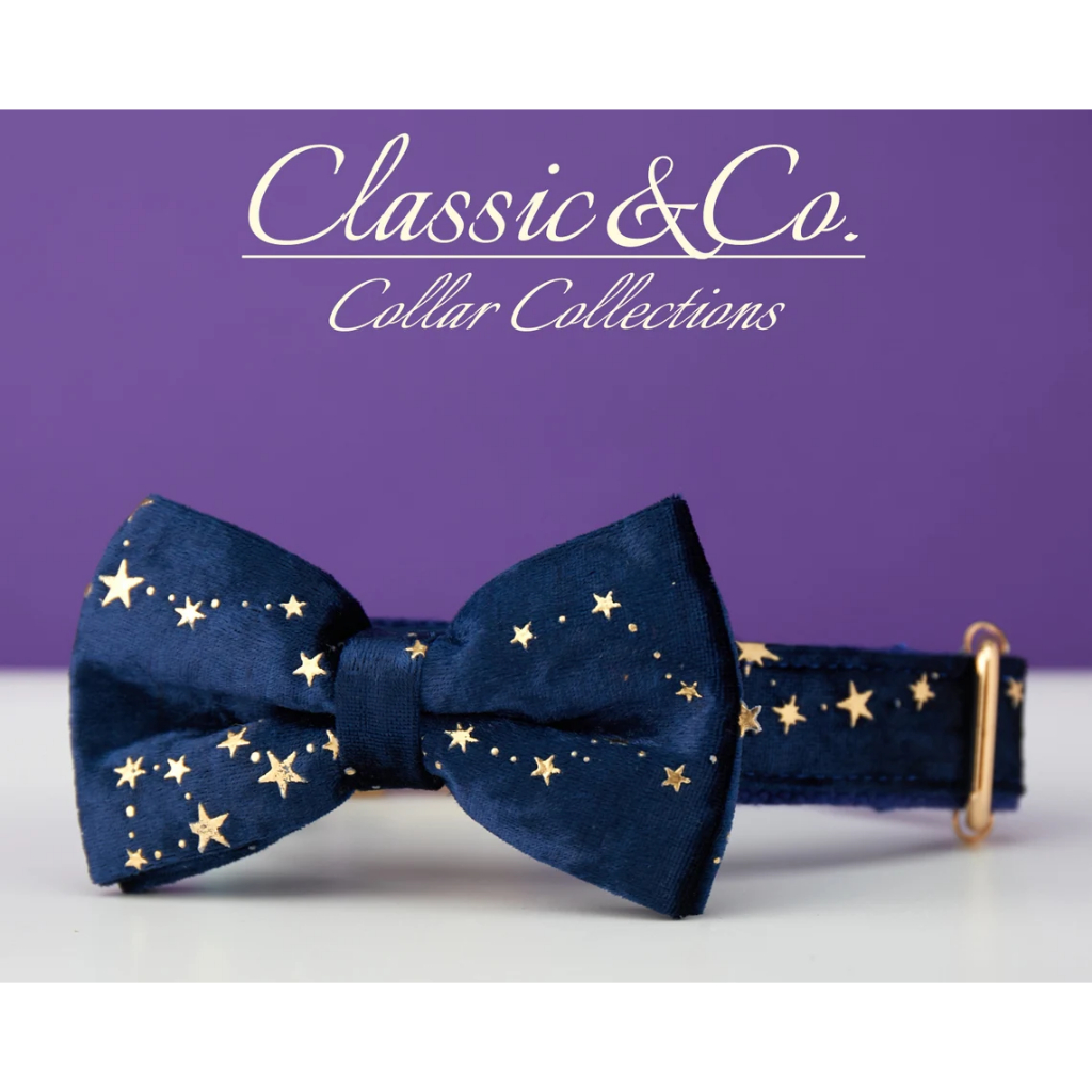 Starry Stars Cá Tính Cổ Chó Thắt Nơ Dây Xích Bộ, Tùy Chỉnh Khắc Tên Thú Cưng Khóa Kim Loại, Quà Tặng Sinh Nhật Cho Chó Con, Miễn Phí Vận Chuyển