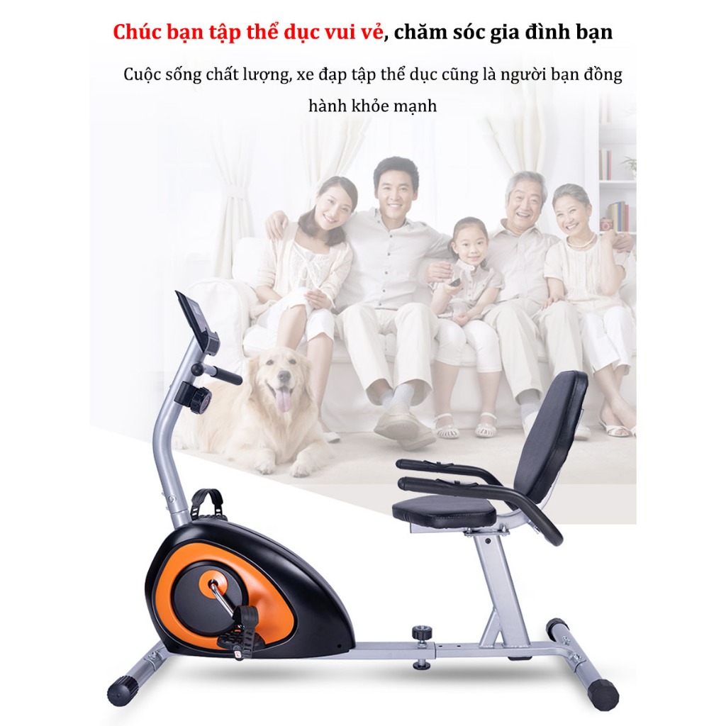 Xe Đạp Phục Hồi Chức Năng D036 Cho Người Cao Tuổi,Thiết Bị Tập Thể Dục Tại Nhà Phục Hồi Tay Chân