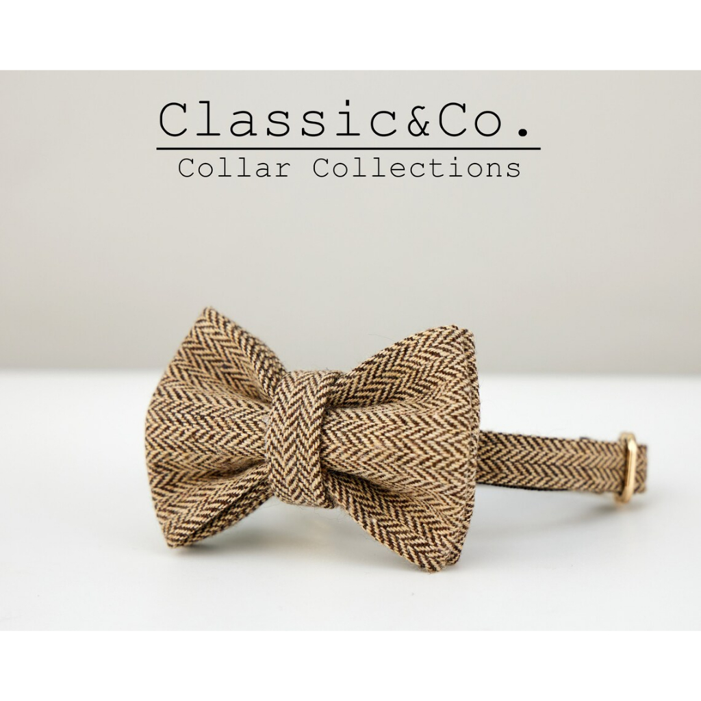 Cà Phê Vải Tweed Cổ Mèo Thắt Nơ Bộ, Bên Mở Khóa Vàng Tùy Chỉnh Khắc Thẻ Tên, Cổ Mèo Con Màu Nâu Nhạt Cho Nam, Quà Tặng Cho Chó Nhỏ