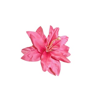 Drejew Vải Hàn Quốc Mô Phỏng lily Tóc Thời Trang Và Đa Năng Tóc Bên Mỏ Vịt Kẹp Kỳ Nghỉ Phong Cách Phụ Kiện Tóc Nữ