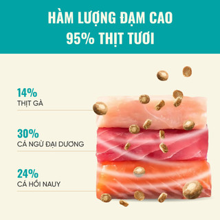 Hạt Bite Of Wild B45 Gói 1kg, 95% Thịt Tươi, Không Độn Ngũ Cốc, Thức Ăn Cho Mèo Mọi Lứa Tuổi