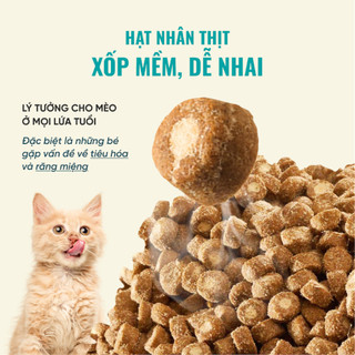 Hạt Bite Of Wild B45 Gói 1kg, 95% Thịt Tươi, Không Độn Ngũ Cốc, Thức Ăn Cho Mèo Mọi Lứa Tuổi