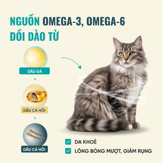 Hạt Bite Of Wild B45 Gói 1kg, 95% Thịt Tươi, Không Độn Ngũ Cốc, Thức Ăn Cho Mèo Mọi Lứa Tuổi