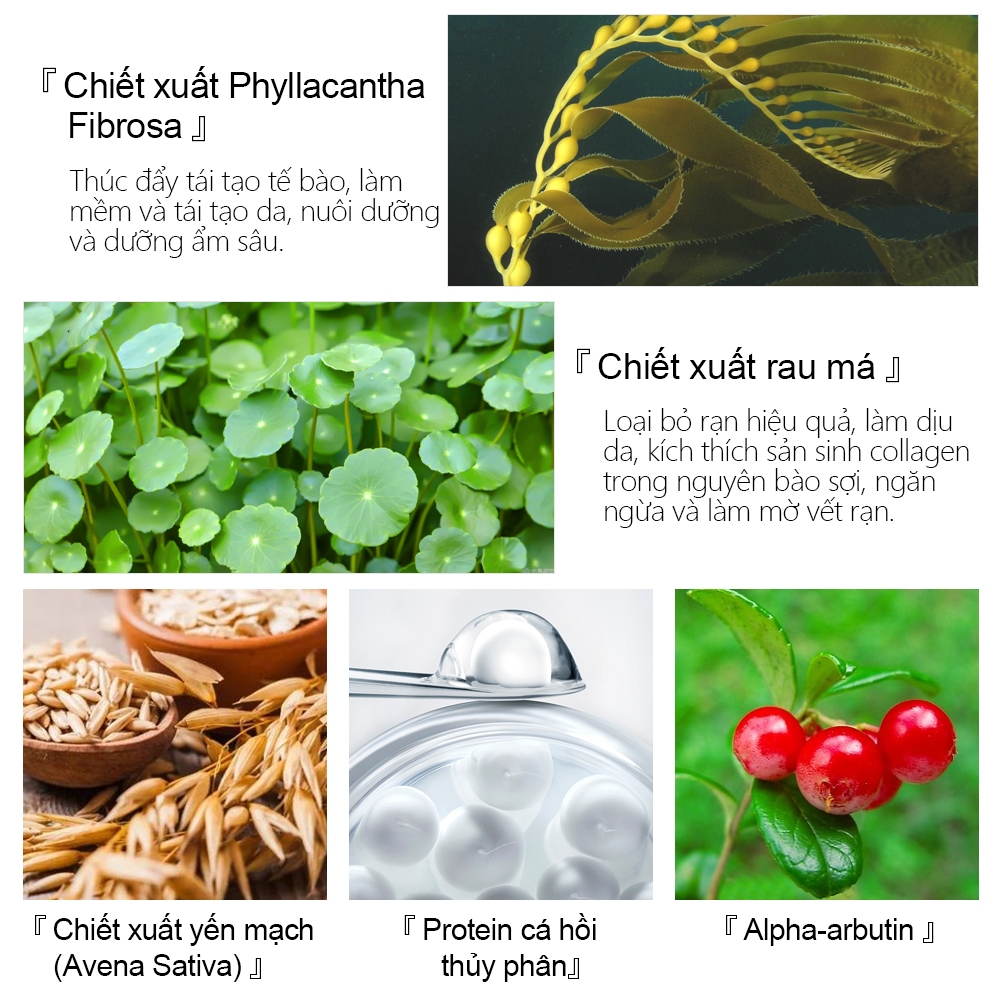 Ảnh Kem Hỗ Trợ Giảm Sẹo Sau Khi Sinh VIBRANT GLAMOUR Làm Trắng Và Săn Chắc Mịn Mượt Chống Lão Hóa 30g*2 3