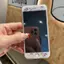 Phim Kính Cường Lực HD Trong Suốt Hoàn Toàn Thích Hợp Cho iPhone 4 5 6 7 8 SE Họa Tiết iPhone7Plus Nửa Màn Hình Màu Phim Hoạt Hình