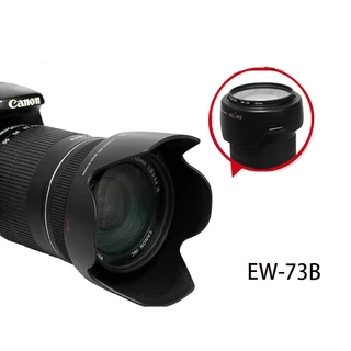 Canon EF 75-300mm & Sigma 18-50mm レンズセット Canon EOS R50 Mirrorless Camera with 18-45mm and 75-300mm