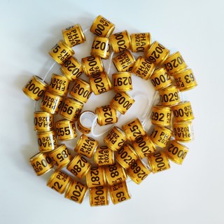 2026 / 2027 PHA Bồ Câu Vòng Chân 10 Mm 8 Mm Bồ Câu Chân Vòng Vẹt Chân Nhẫn Chim Dụng Cụ Huấn Luyện 1 Chiếc