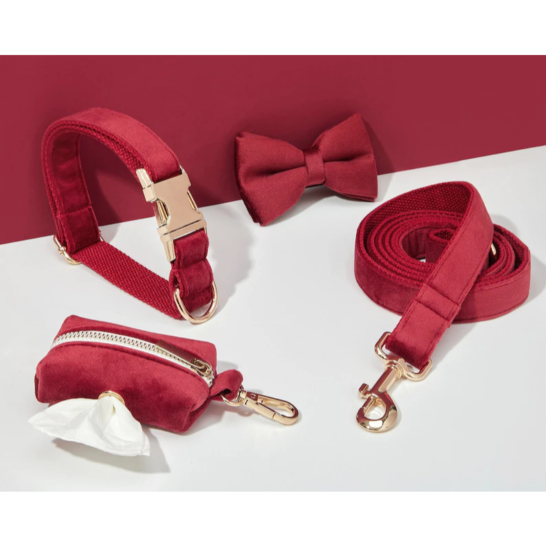 Bộ dây nịt, cổ áo, nơ và giá đỡ túi Poo nhung Burgundy cho chó, cá nhân hóa, không kéo