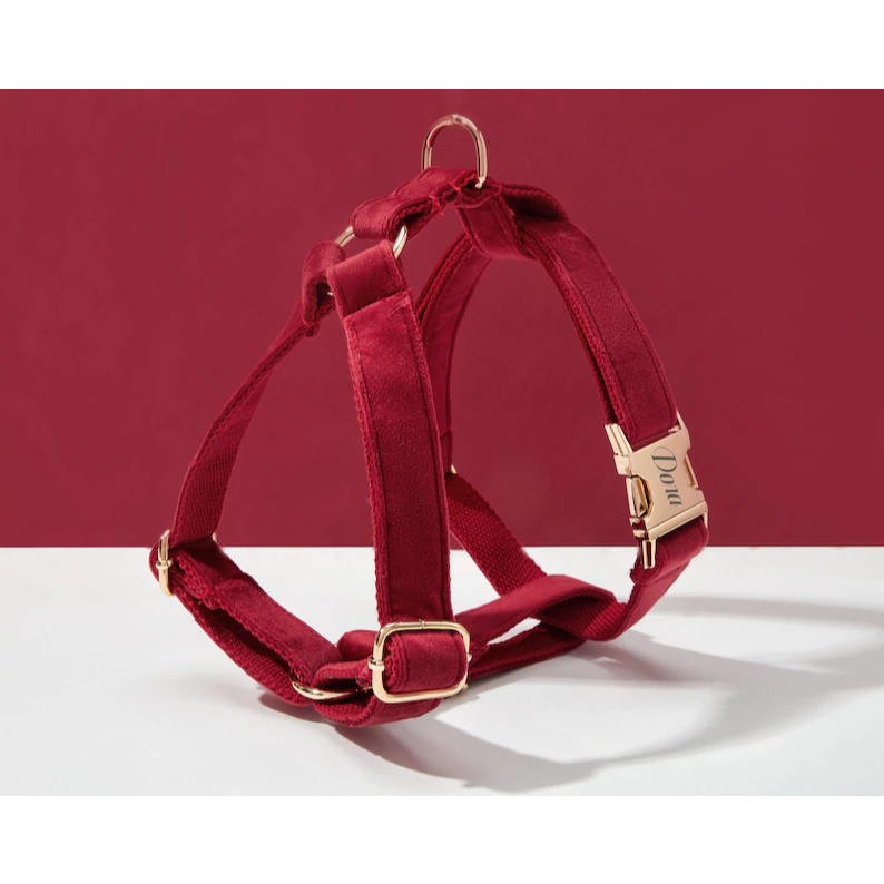 Bộ dây nịt, cổ áo, nơ và giá đỡ túi Poo nhung Burgundy cho chó, cá nhân hóa, không kéo