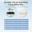 Bọt biển không khí GALIMARD Công dụng kép để trang điểm mặt ướt & khô
