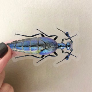 Bộ 50 Nhiều Màu Sắc Côn Trùng Dán PET Trong Suốt Ngộ nghĩnh Đề Can DIY Notebook Laptop Đồ Chơi Trẻ Em Quà Tặng