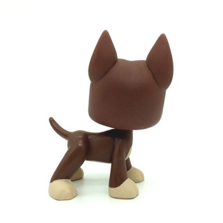 Littlest Pet Shop Sôcôla nâu Great Dane Dog Green Eyes Puppy LPS 1519 Đồ chơi