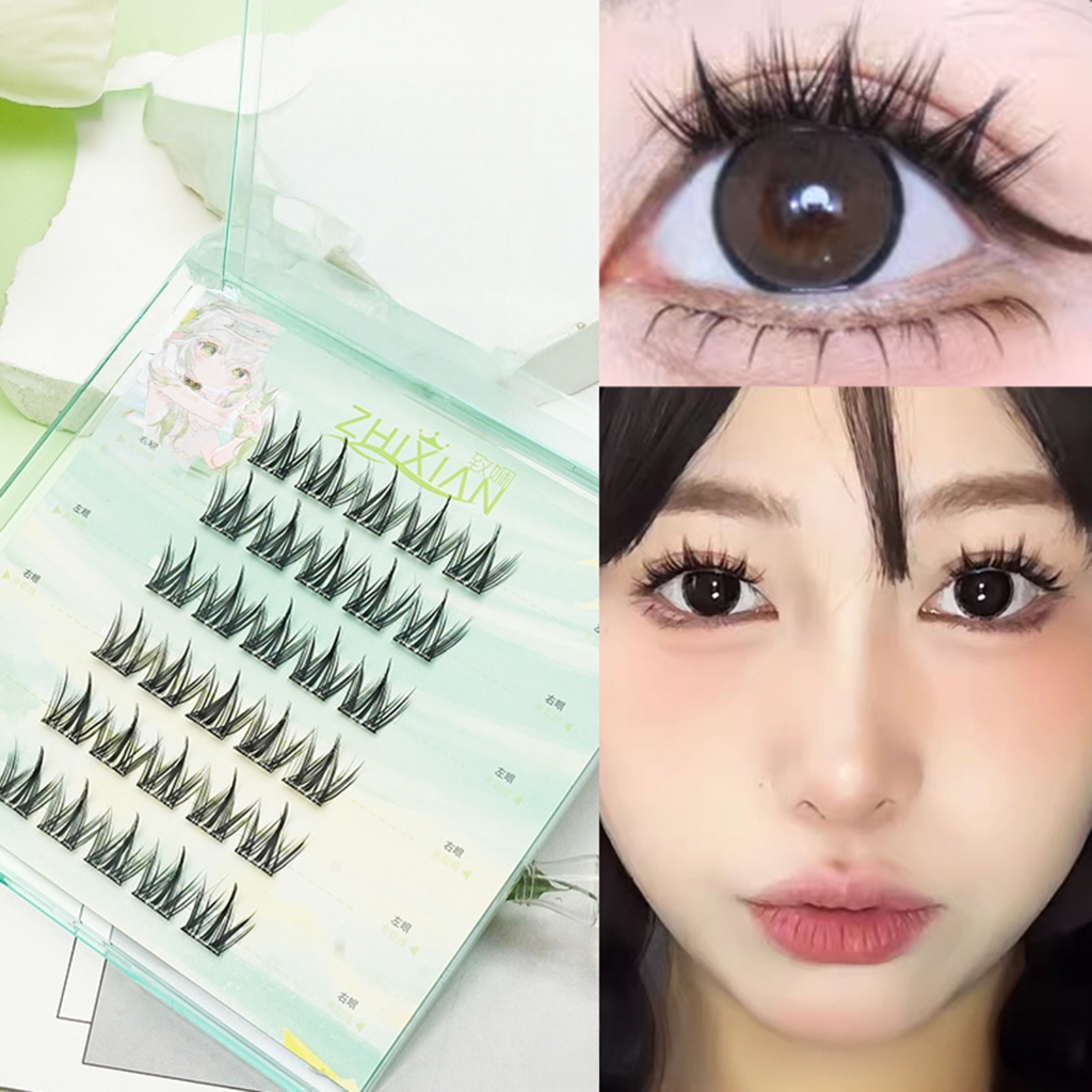 Nhiều loại lông mi giả không keo, cụm lông mi hàng ngày C-curl phù hợp cho phụ nữ ở mọi lứa tuổi