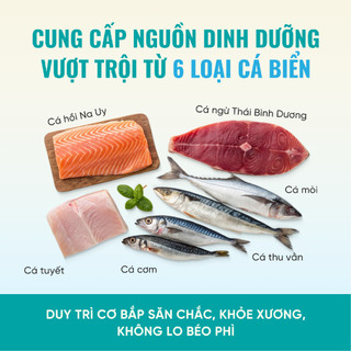 Hạt Bite of Wild F42 gói 1KG 42% protein từ 6 loại cá, không ngũ cốc, cho mèo mọi lứa tuổi