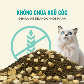 Hạt Bite Of Wild P42 Gói 1KG Mix Topping Thịt sấy Không Ngũ Cốc Cho Mèo Mọi Lứa Tuổi