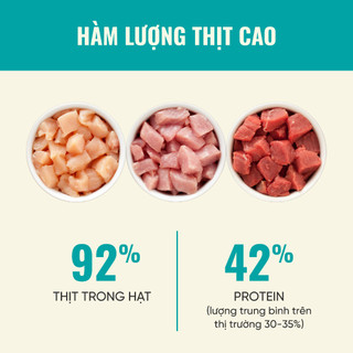Hạt Bite Of Wild P42 Gói 1KG Mix Topping Thịt sấy Không Ngũ Cốc Cho Mèo Mọi Lứa Tuổi
