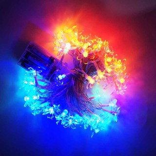 10m Hoa Anh Đào Cổ Tích Đèn LED Dây Chạy Bằng Pin Vòng Hoa Ánh Sáng Pha Lê Hoa Phòng Cưới Giáng Sinh Trang Trí Chiếu Sáng