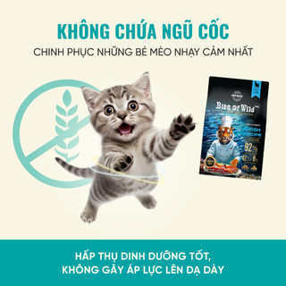 Hạt Bite of Wild F42 gói 1KG 42% protein từ 6 loại cá, không ngũ cốc, cho mèo mọi lứa tuổi