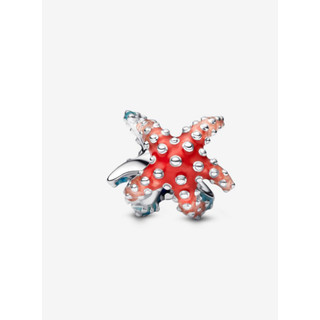 [Mới 2025] Charm Mini Sao Biển Nhiều Màu Sắc Thời Trang Cổ Điển