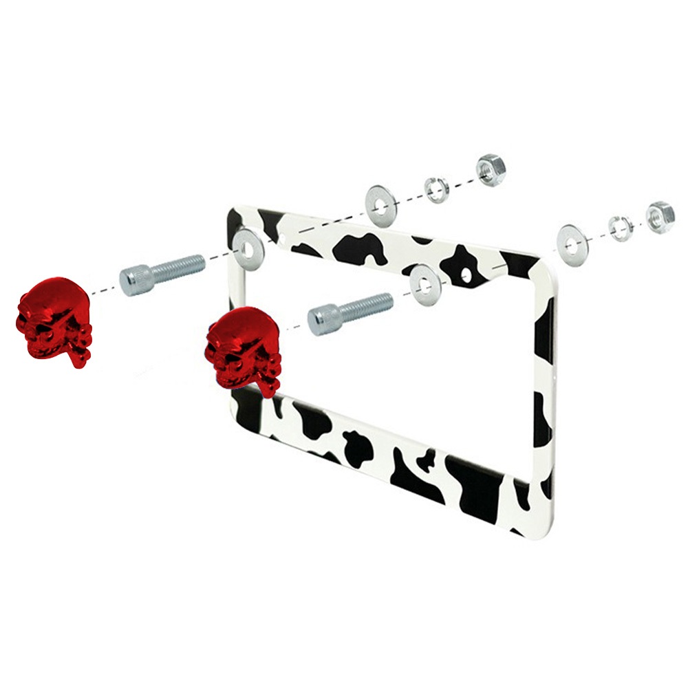 2 Cái / 4 Chiếc Xe Biển Số Cố Định Bu Lông Đầu Lâu Tạo Kiểu Cho Ô Tô Đa Năng Biển Số Vít