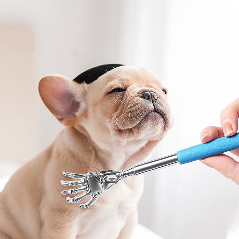 Kuzhen Cây Gãi Lưng Bằng Thép Không Gỉ Có Thể Rút Lại